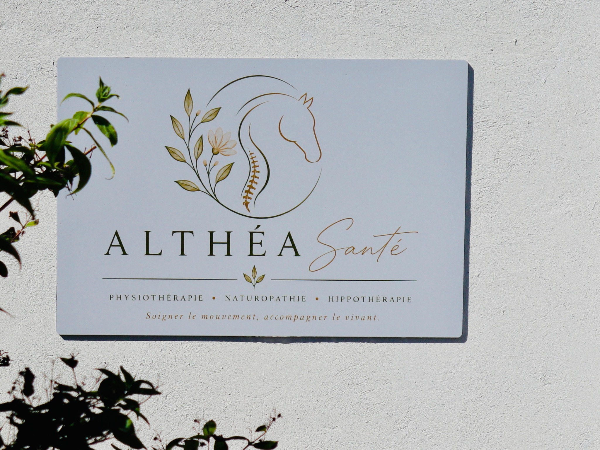 Plaque extérieure du cabinet Althéa Santé