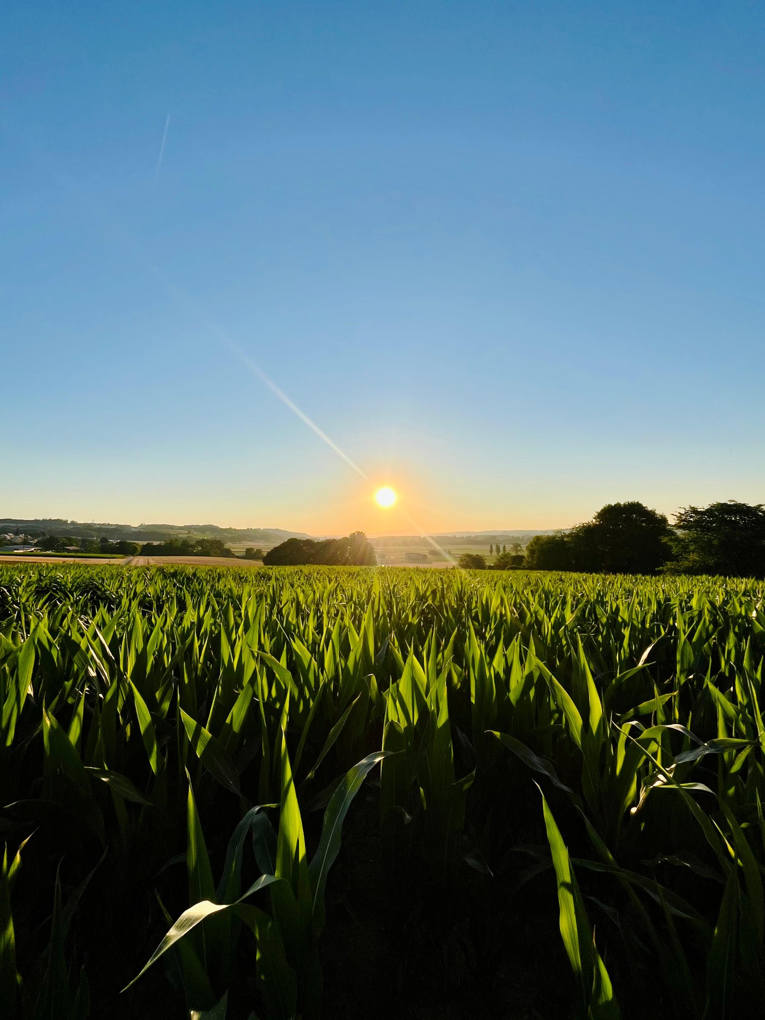 Paysage de la Broye fribourgeoise au coucher du soleil