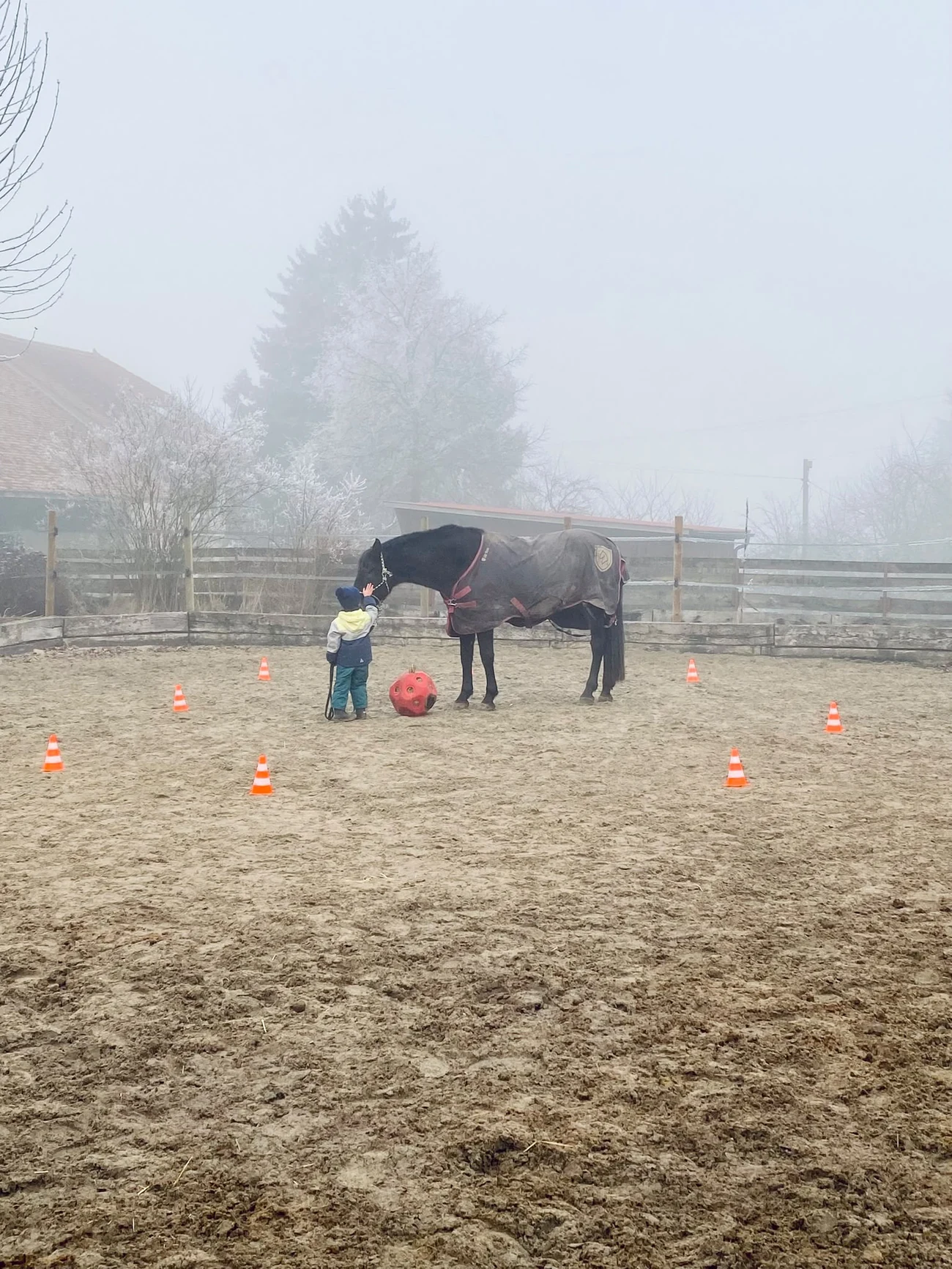 Séance d’Hippothérapie-K® à Léchelles dans un environnement calme