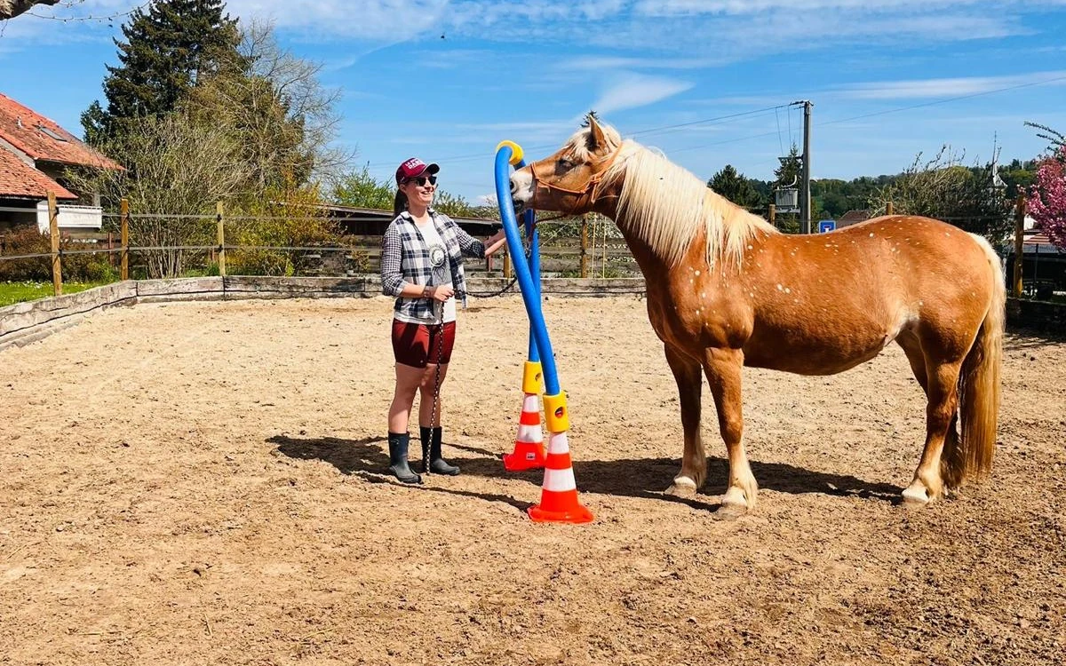 Jument accompagnée sous une arche lors d’une séance d’Hippothérapie-K®